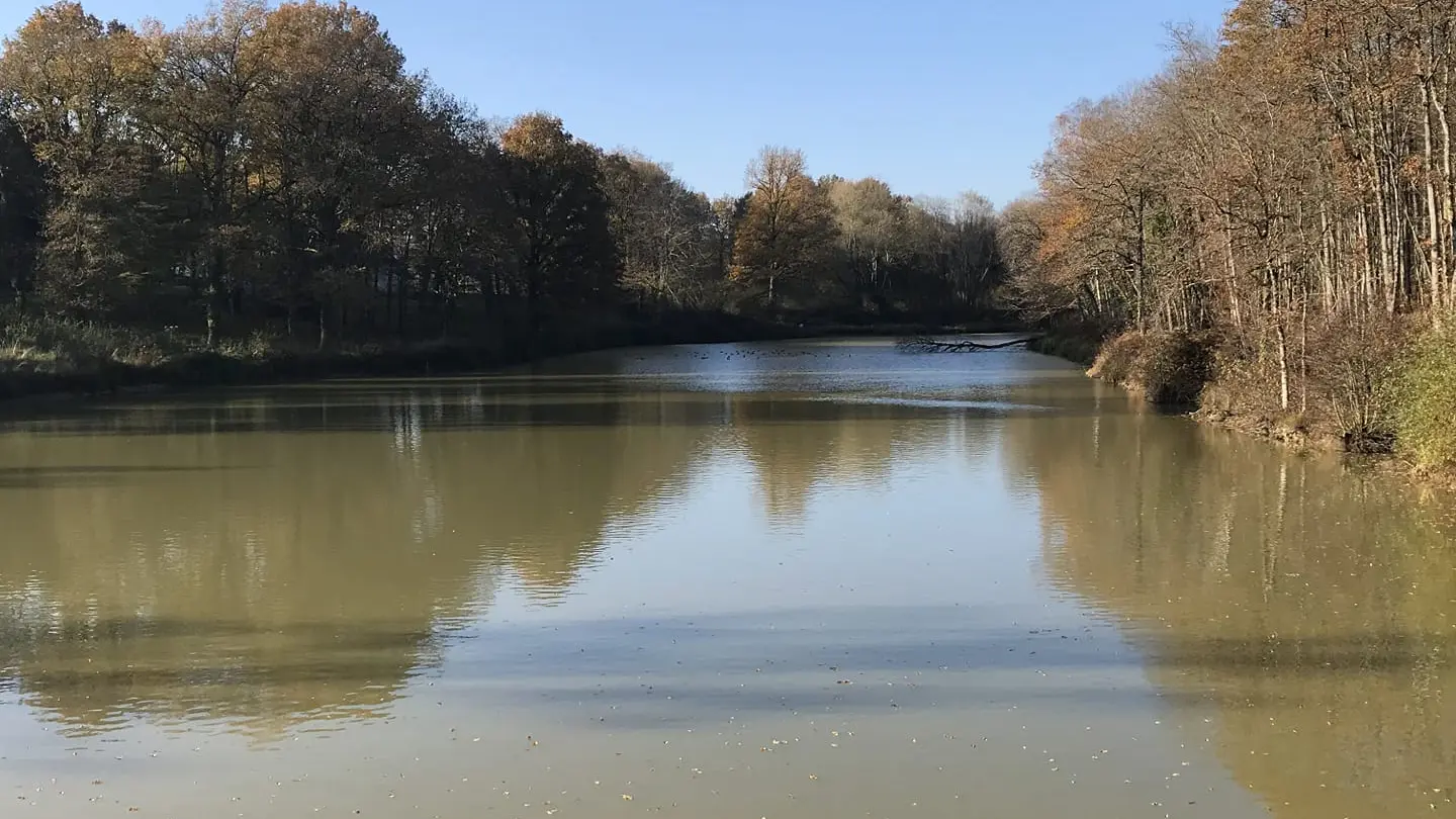 Touraine Cottage - Domaine des Aulnaies