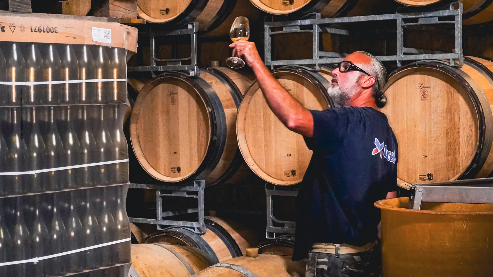 VIGNES BRACO JUIL 25 (34)