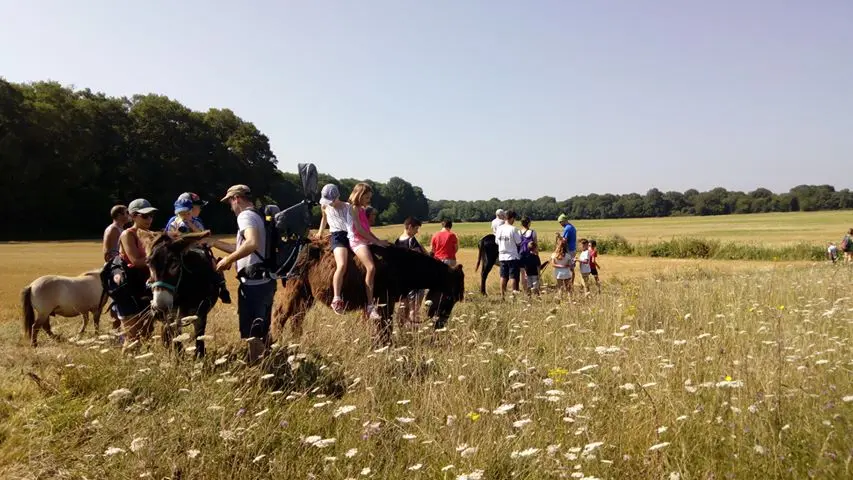 Vacances calme et familial en loir et cher Centre Val de Loire Camping nature ferme pédagogique de Prunay