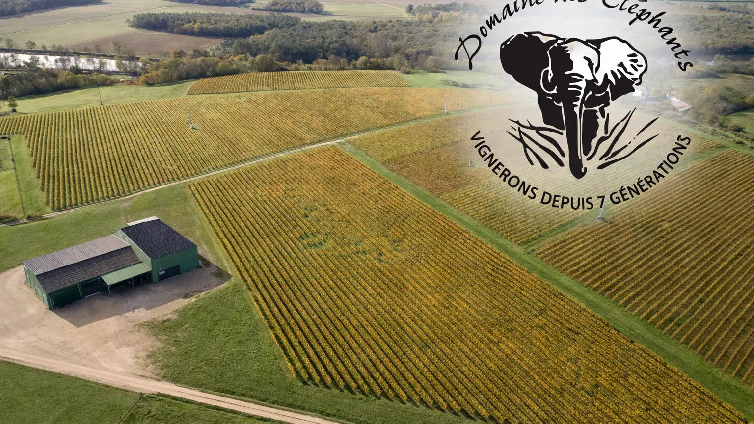 Visuel 2026 - Domaine des Elephants