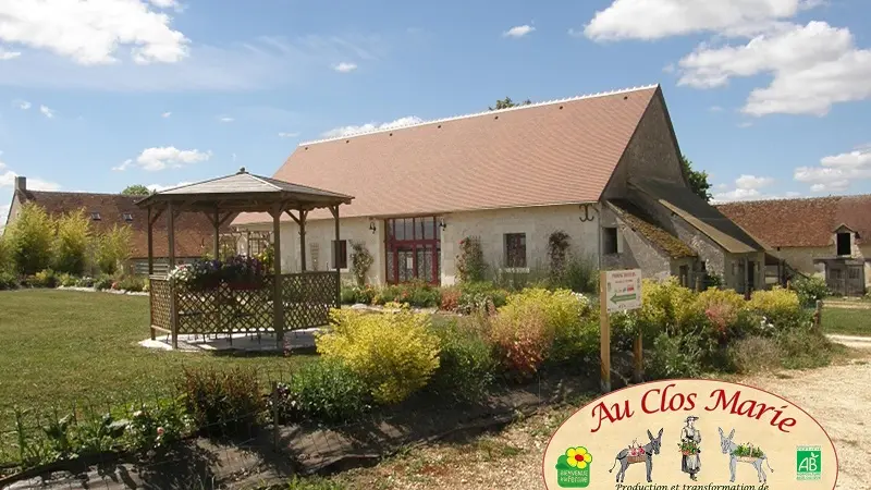 Vue accueil + logo 800x600