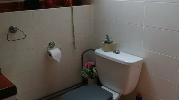 Wc dans la salle de douche