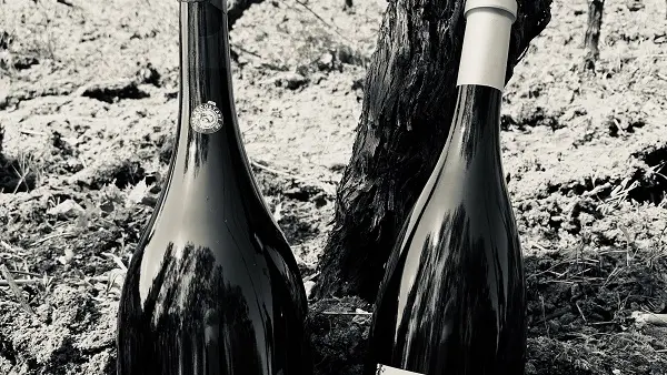 Domaine-du-bien-vivre-St-Romain-sur-cher