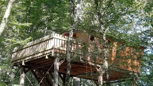cabane-au-milieu-des-arbres-sologne