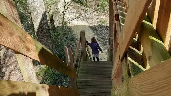cabane-perchée-escalier
