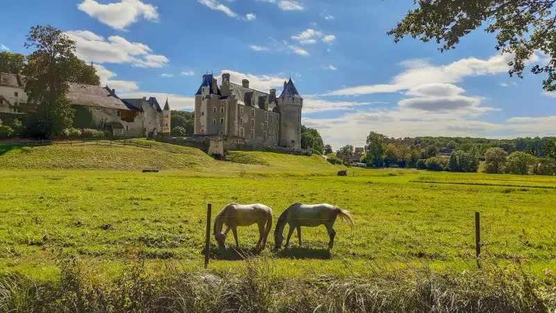 Château de Montpoupon