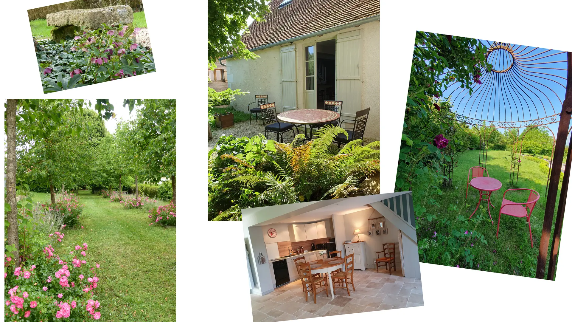 Gîte des Hellébores - Composition photos