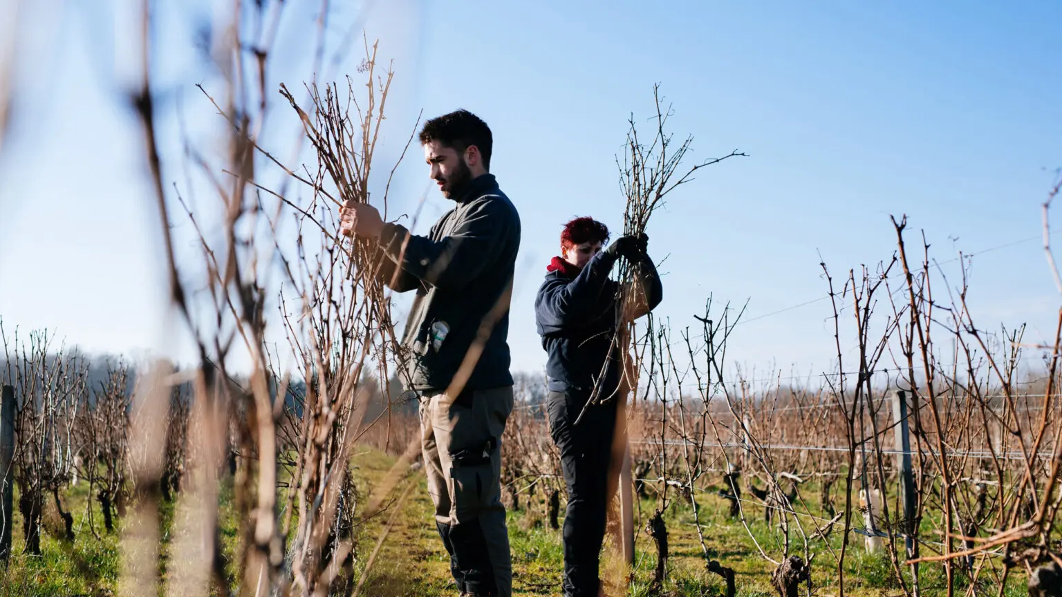 des-hommes-des-vignes-1536x1038
