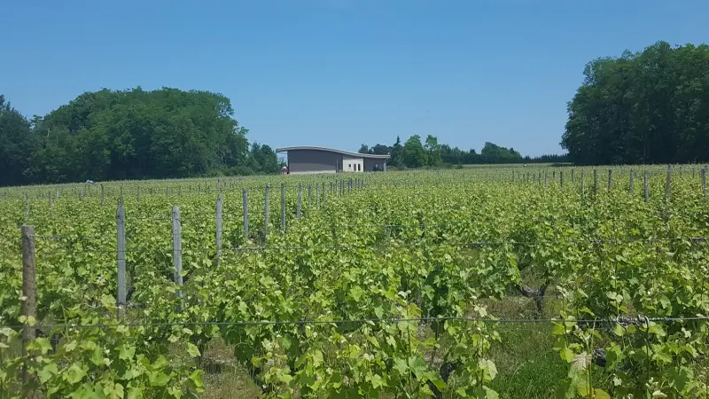 DIVIN LOIRE