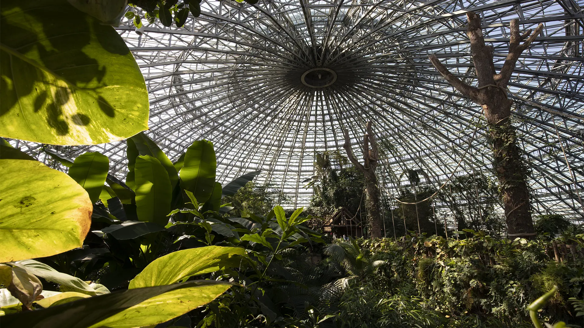dome_interieur_01