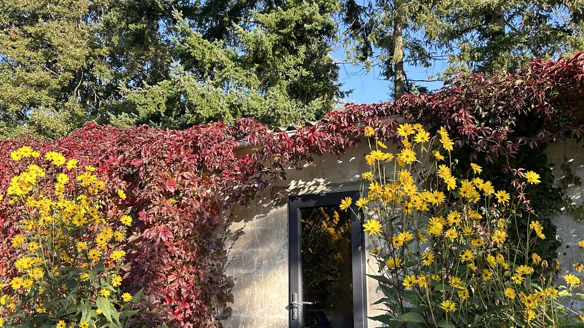 entrée espace repas