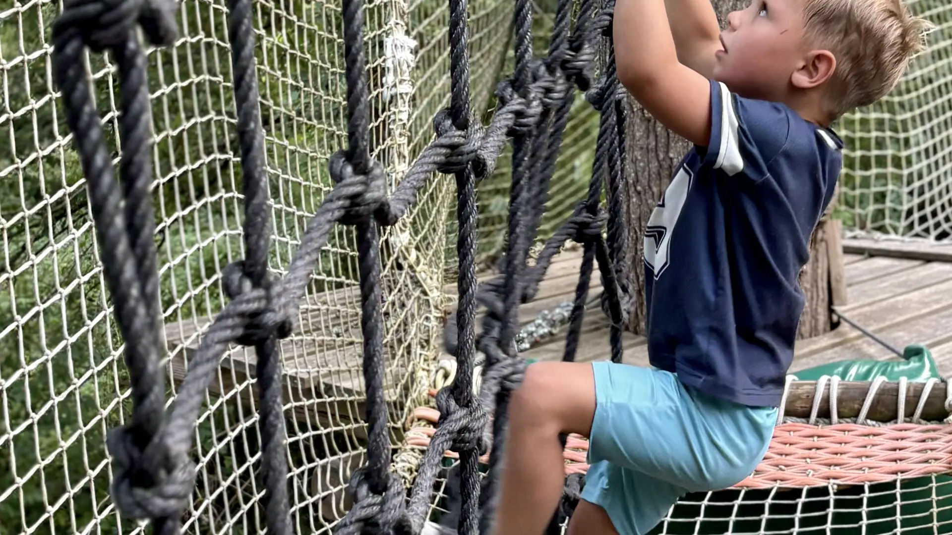 filet noir Melvy arbres