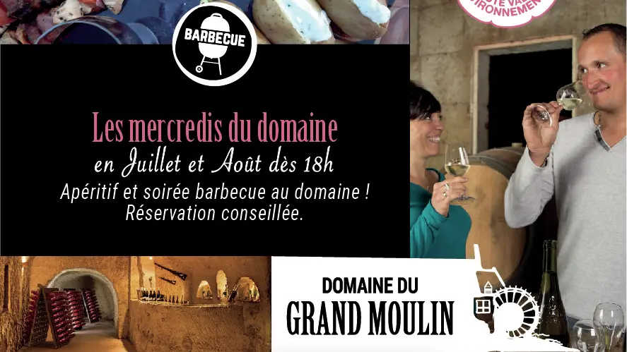 Domaine du Grand Moulin Seneau et Fils