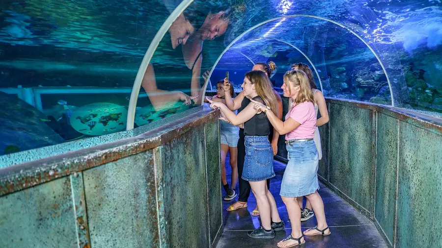 Le Grand Aquarium de Touraine
