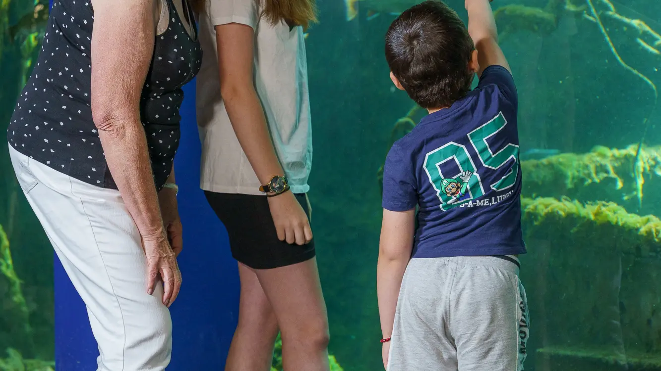 Le Grand Aquarium de Touraine