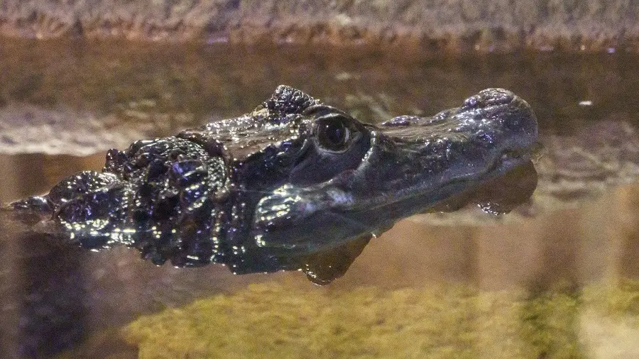Le Grand Aquarium de Touraine
