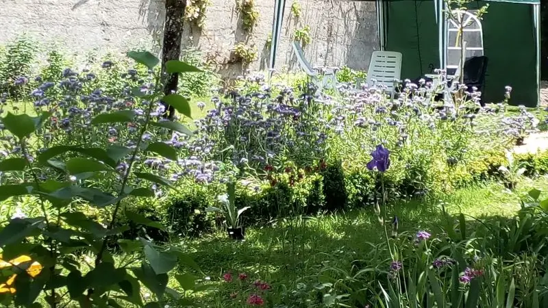 jardin du gite au jardin de grand-pere