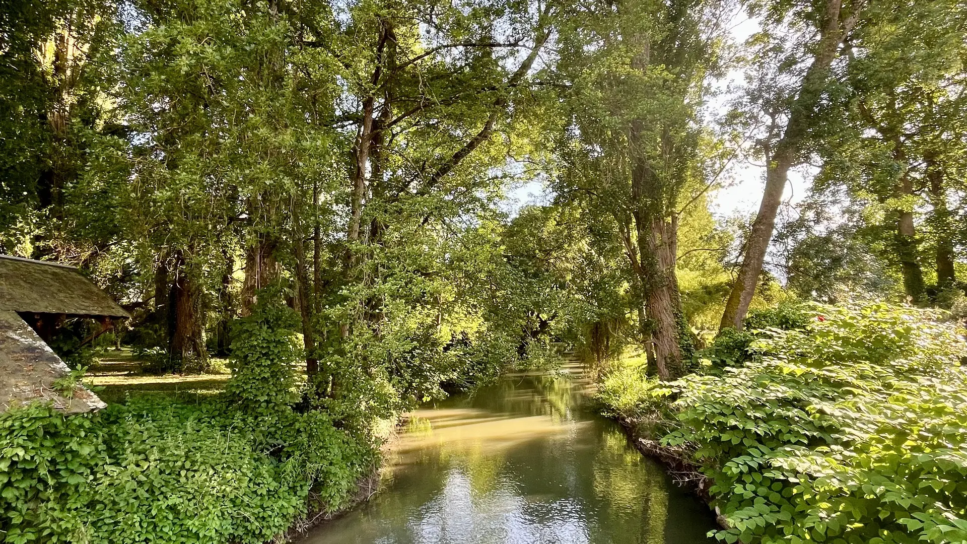 le bief du moulin