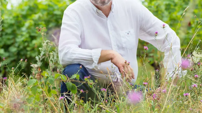 lionel-gosseaume-vigneron13-700x700