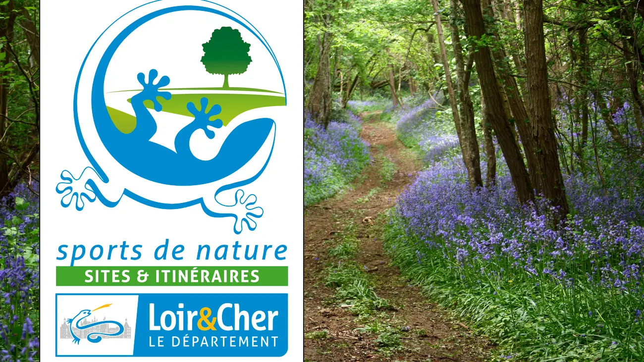 logo-tourisme-de-nature-sites-et-itineraires-chemin-forestier