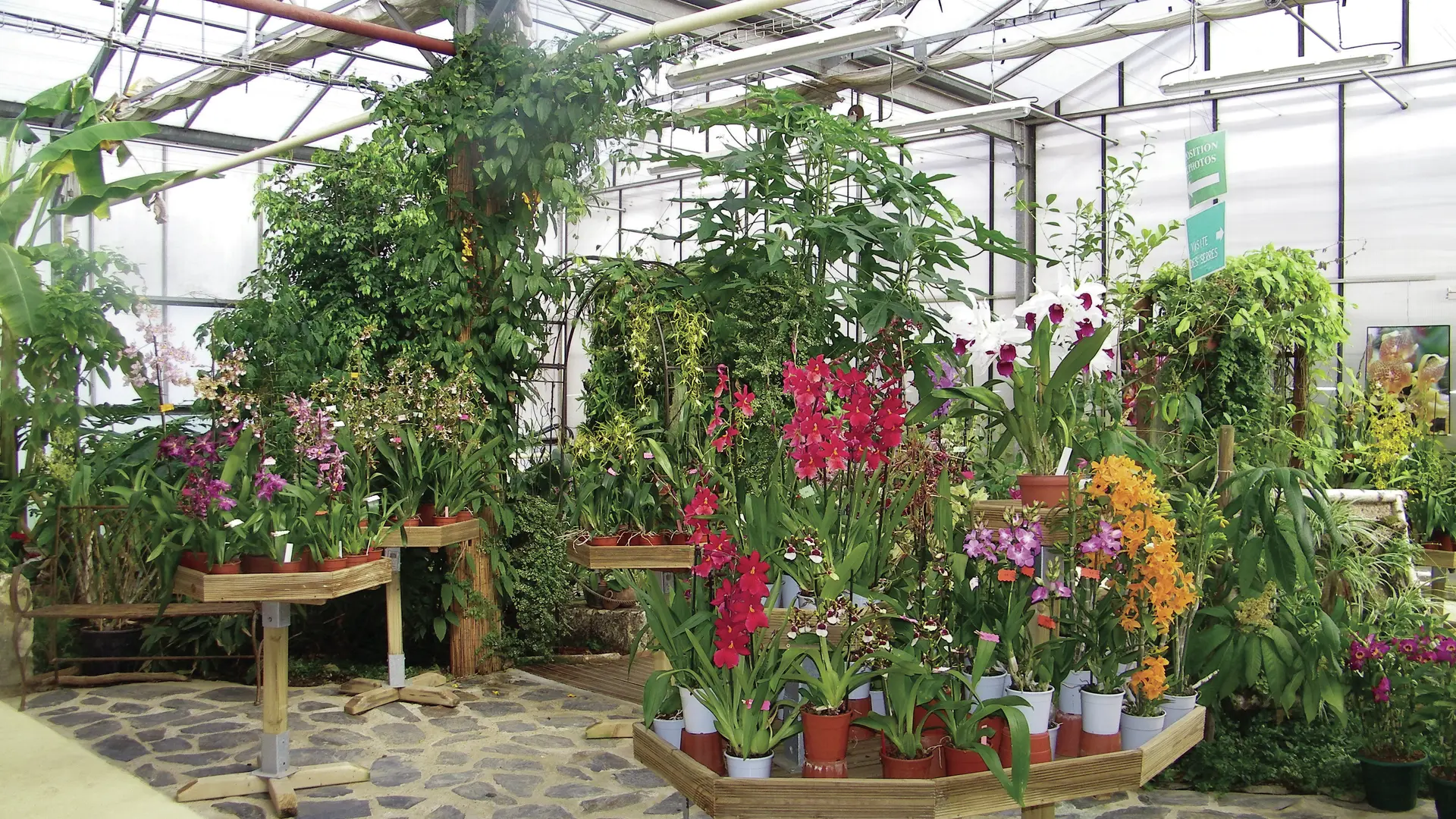 orchidium_fresnes