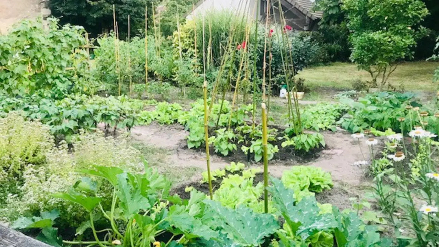Le potager