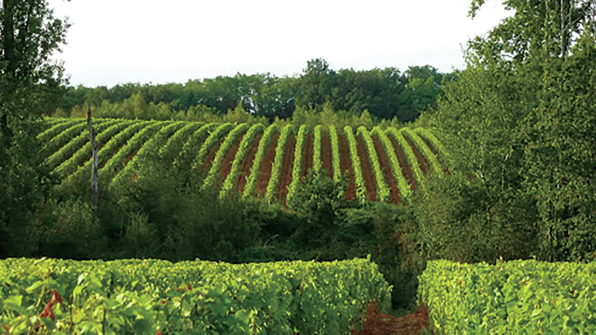 domaine_de_la_renaudie
