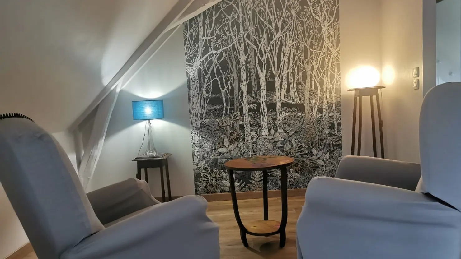 salon chambre gite-au-jardin-de-grand-pére 1