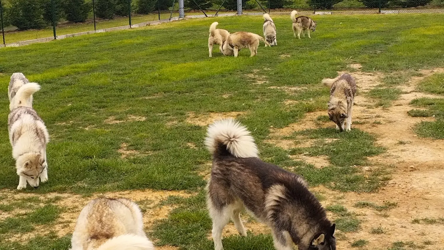 469397773_562999956541543_1787903342207149163_n