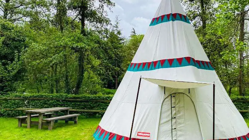 479981040_889266189843858_1773727882911910958_n