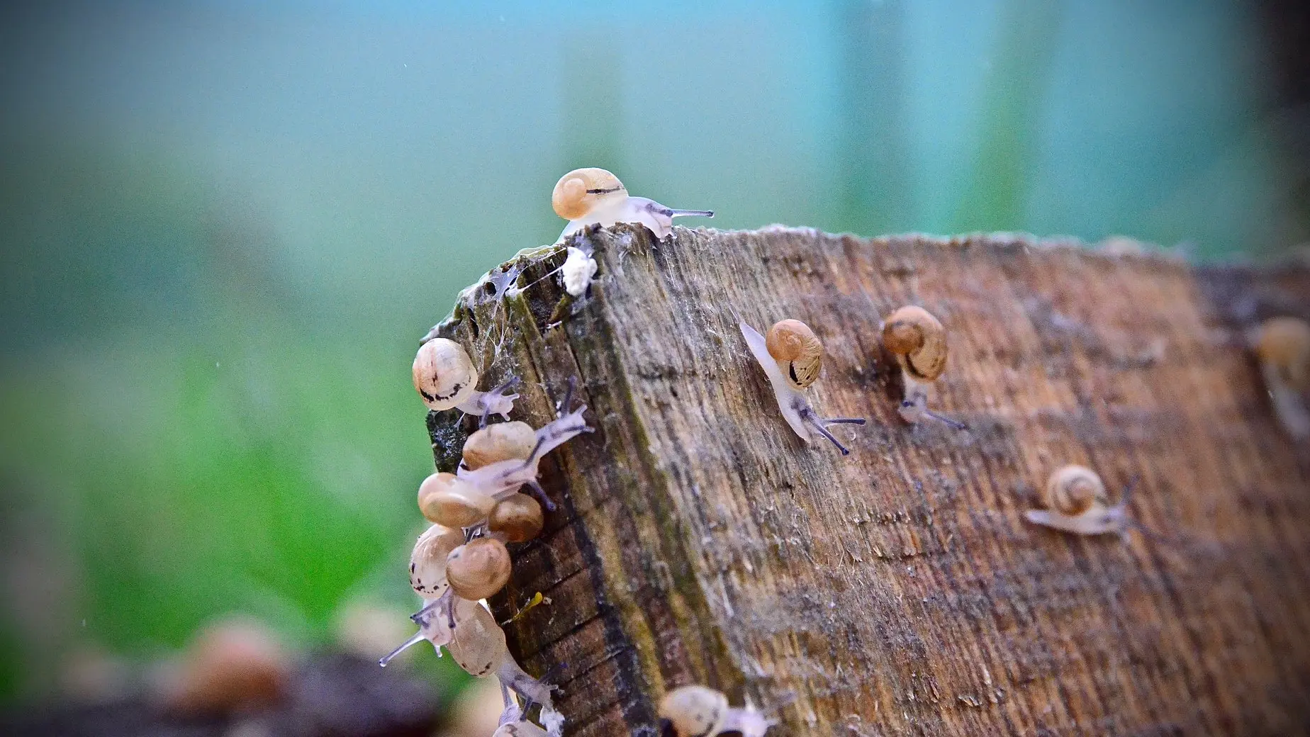 480833298_1296408599155251_230615473631235483_n