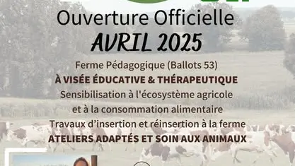 484029792_122194190792176897_3553881448573922220_n