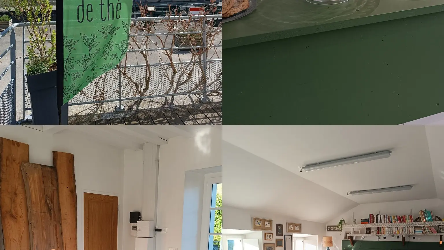 491355591_122114710724807694_3377260228890382427_n