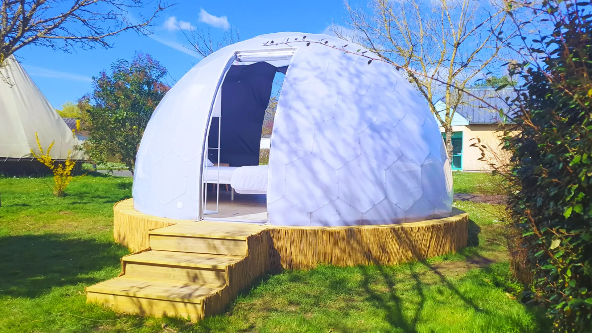 Camping Dome/Igloo