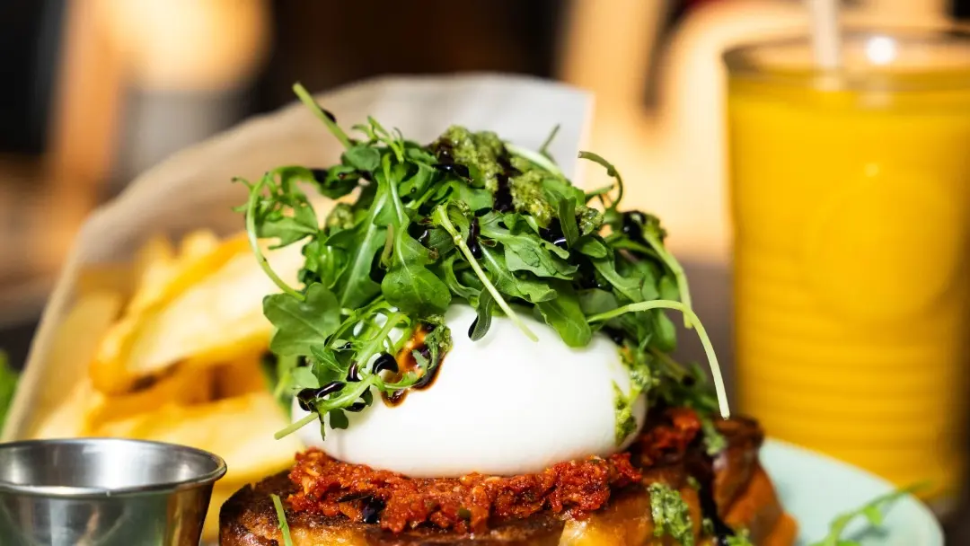 558452421_1236608498500734_6386035114107542981_n