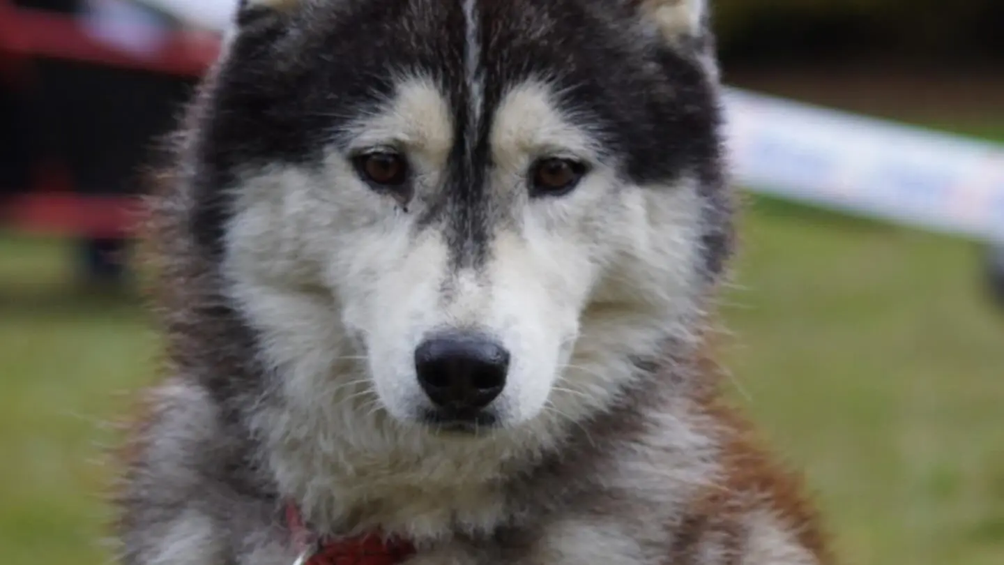 568480968_17988593816853152_8127416376673291818_n