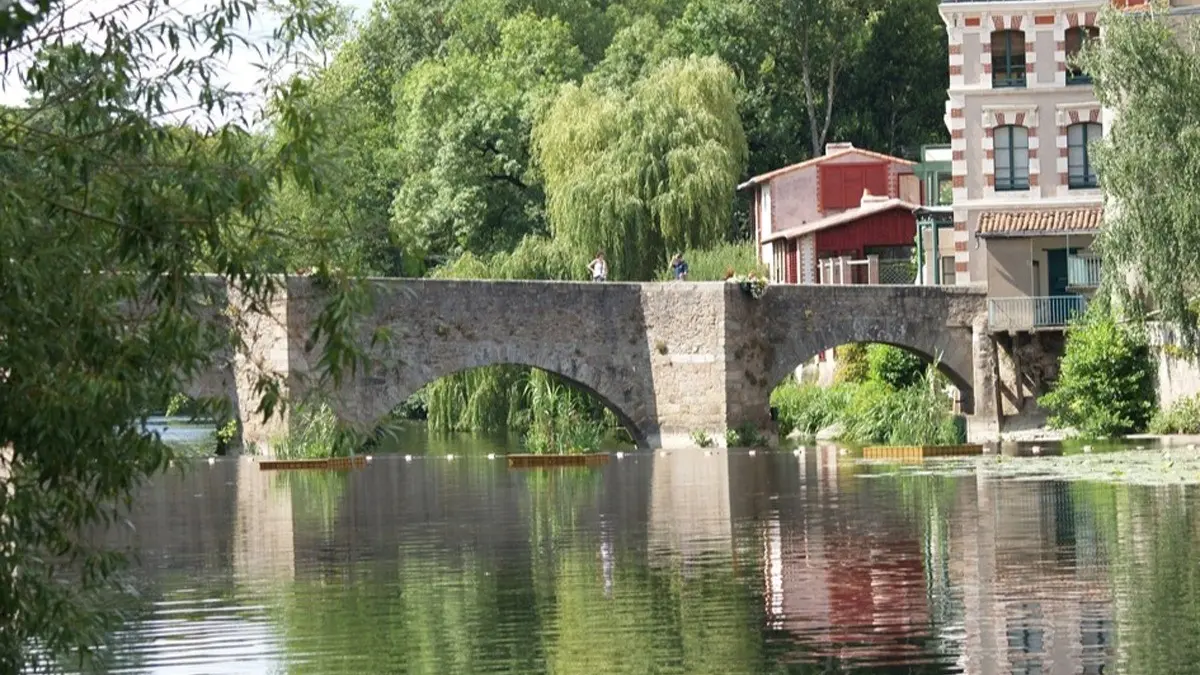 253650 - Clisson, vallée de la Sèvre