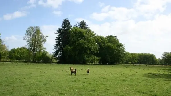 114488 - Rencontres lors d'une promenade sur le site