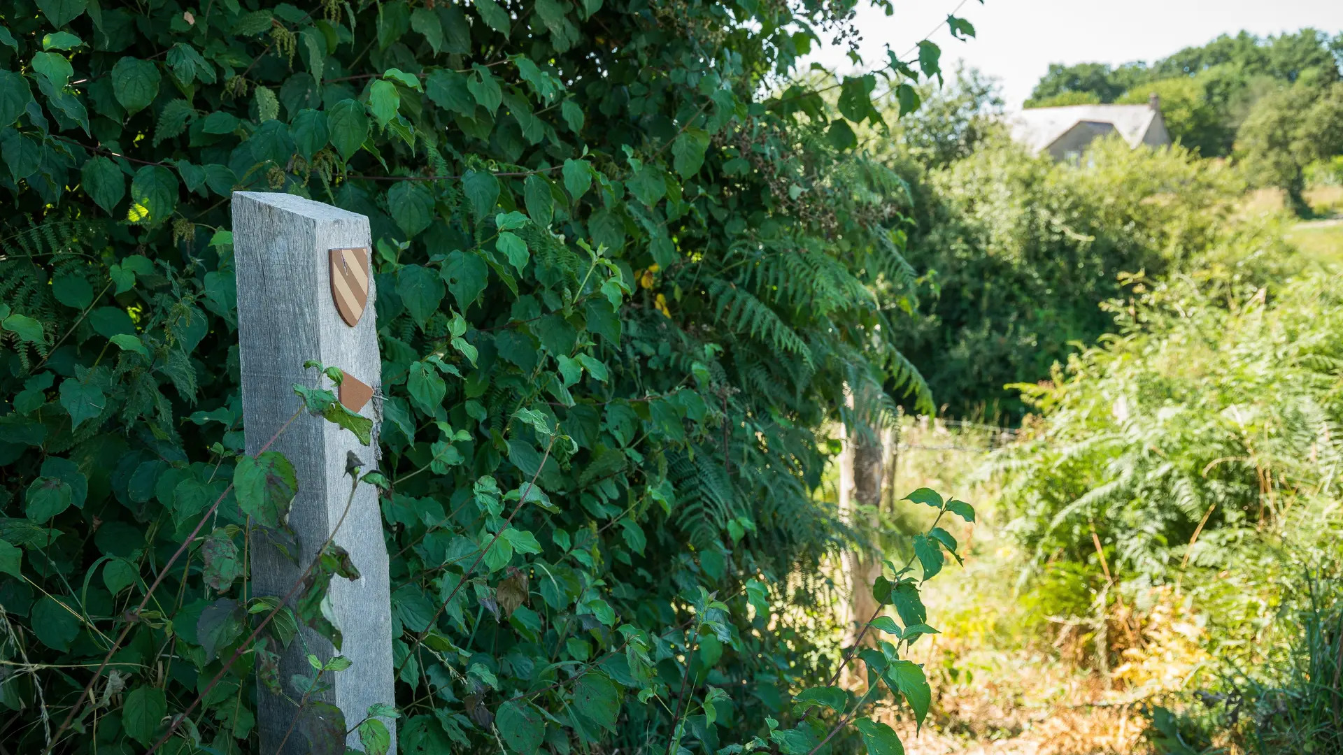 sentier Lancelot au pays de Lassay