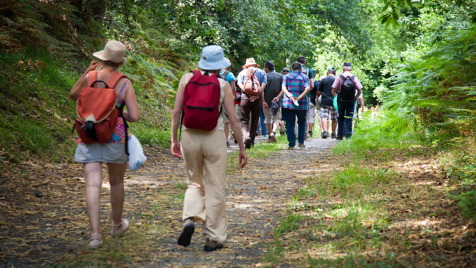 Randonnée pédestre. Montreui le Henri