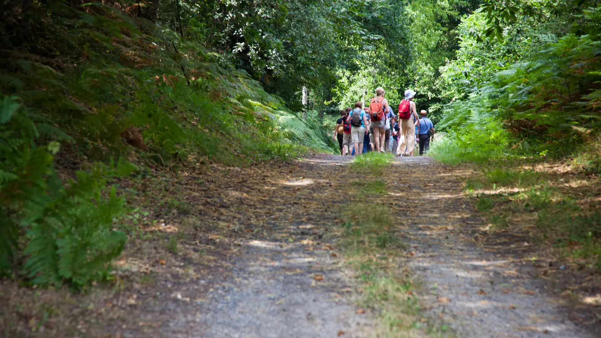 Randonnée pédestre. Montreui le Henri
