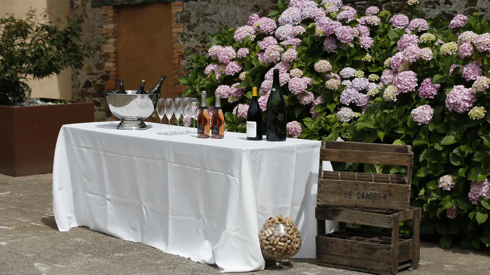 la cour devant la salle