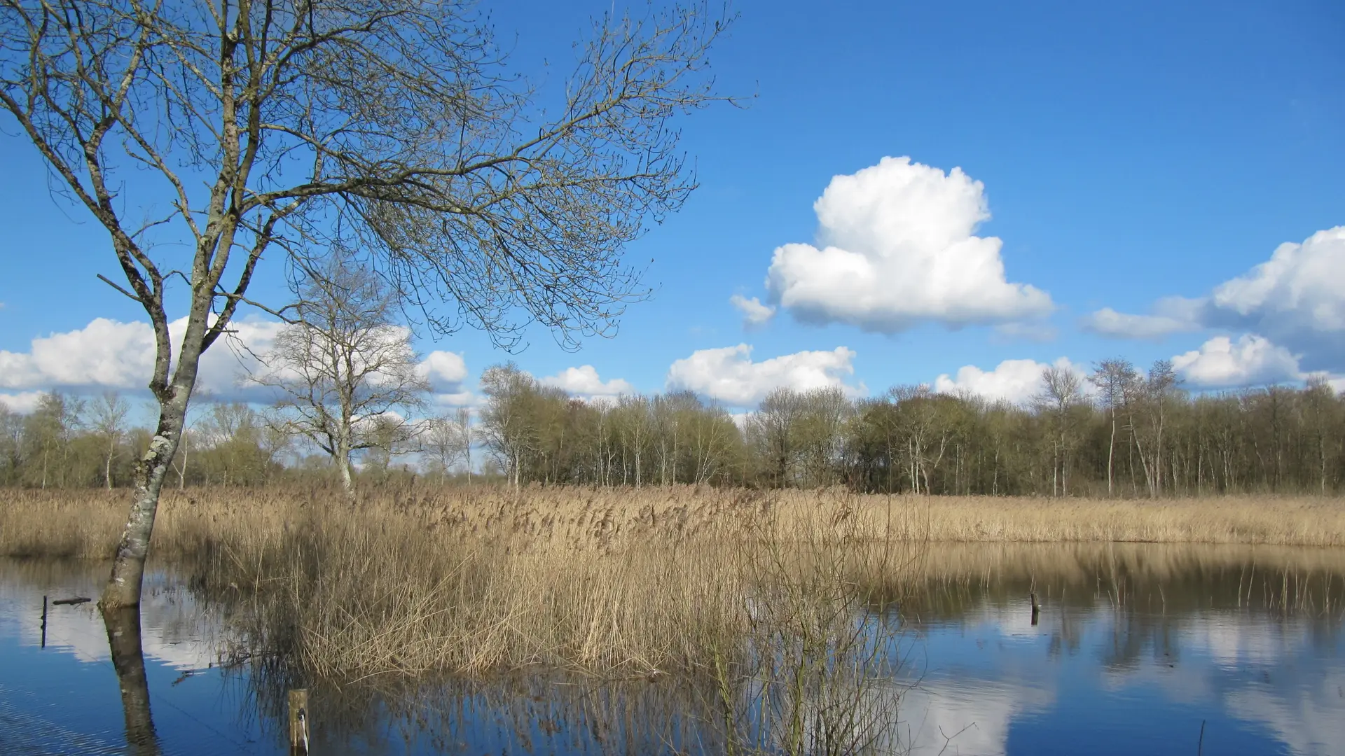 Randonnée pédestre. Bazouges Cré sur Loir