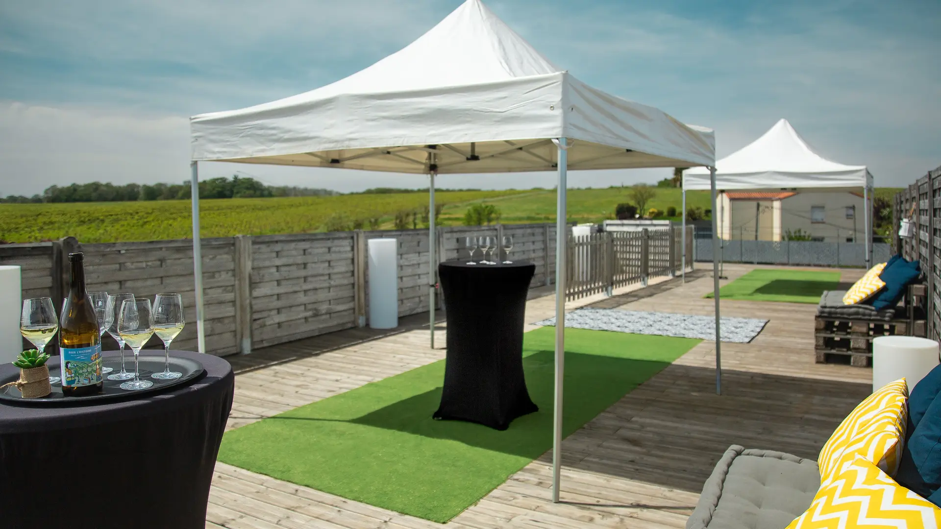 Terrasse vue sur vignes