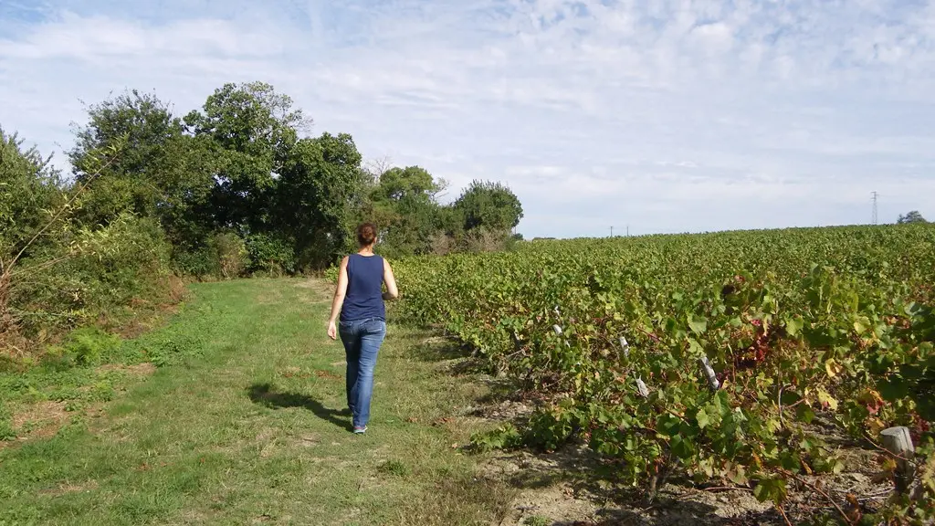 circuit-hte-chapelle-LCBM-levignoblenantes-tour (2)
