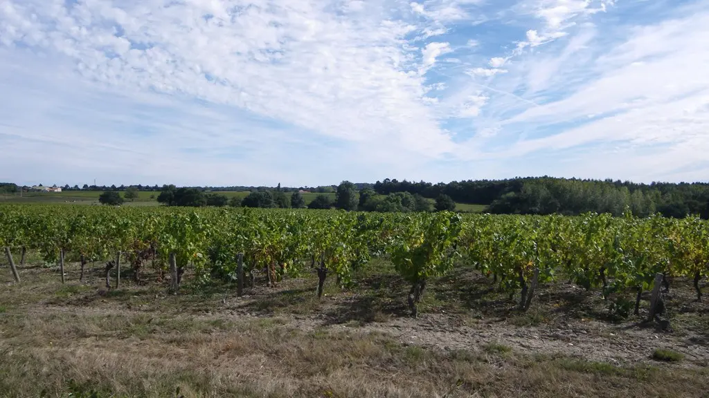 circuit-hte-chapelle-LCBM-levignoblenantes-tour (5)