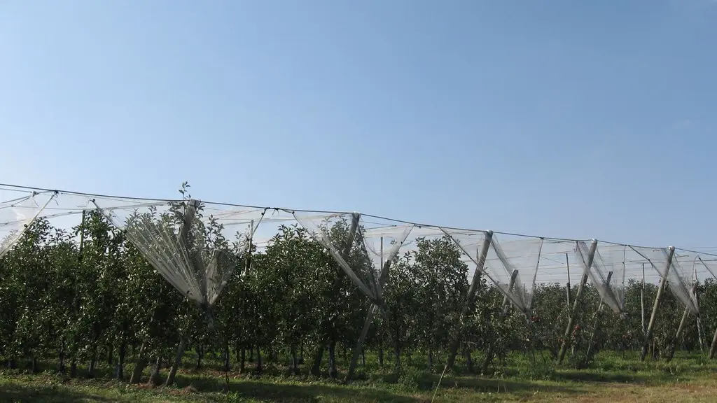 circuit-hte-chapelle-LCBM-levignoblenantes-tour (7)