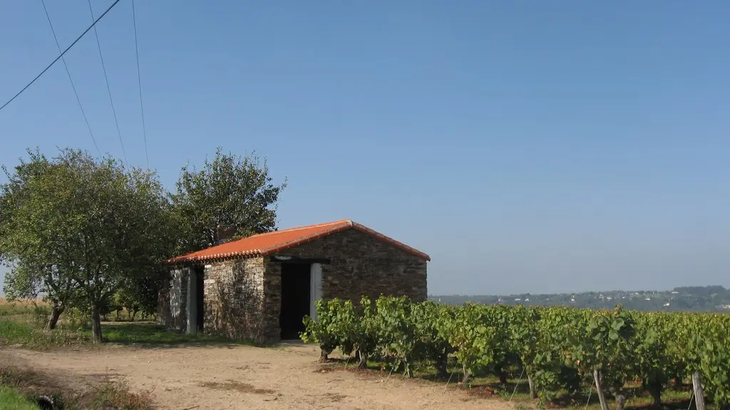 circuit-hte-chapelle-LCBM-levignoblenantes-tour (9)