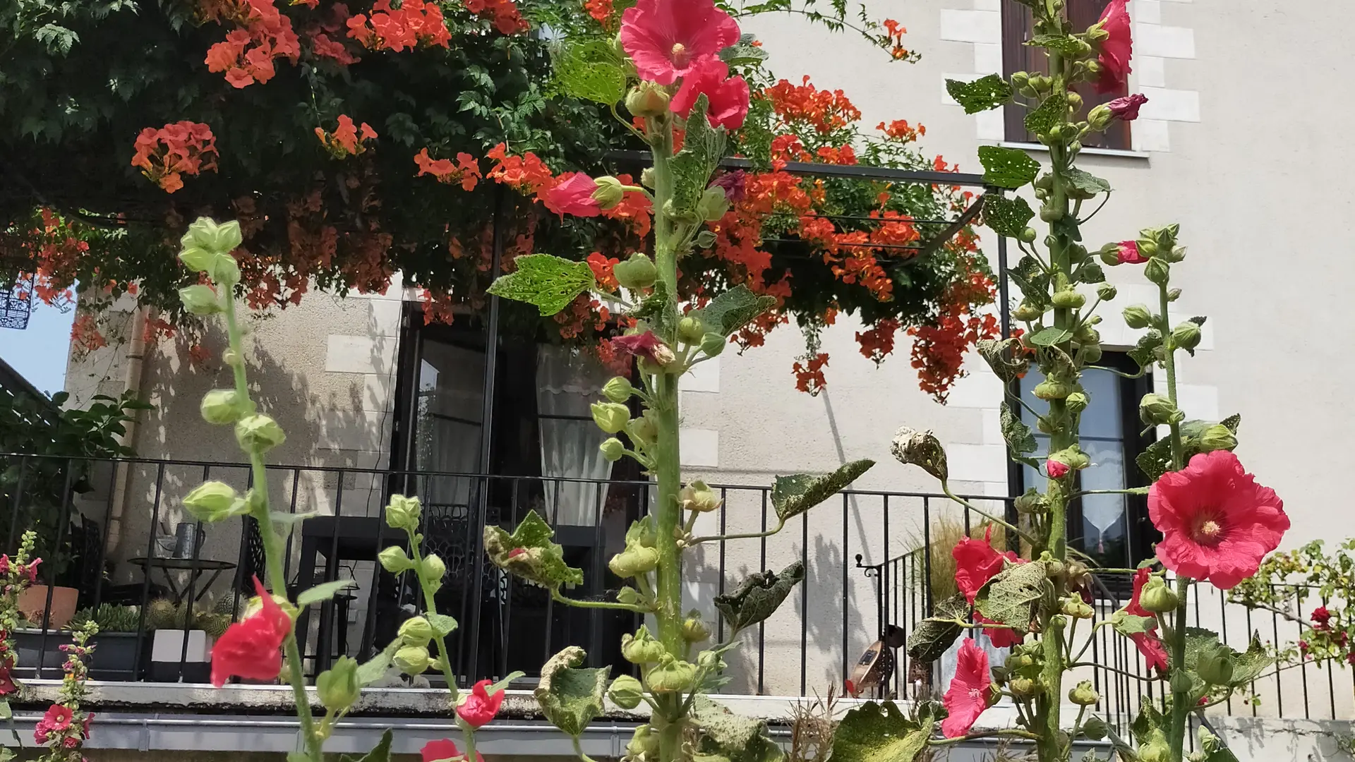 Façade côté jardin