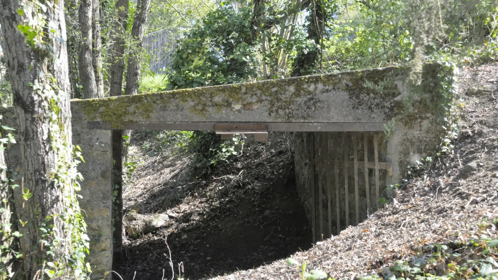 Abri à bascule pour peser les wagonnets